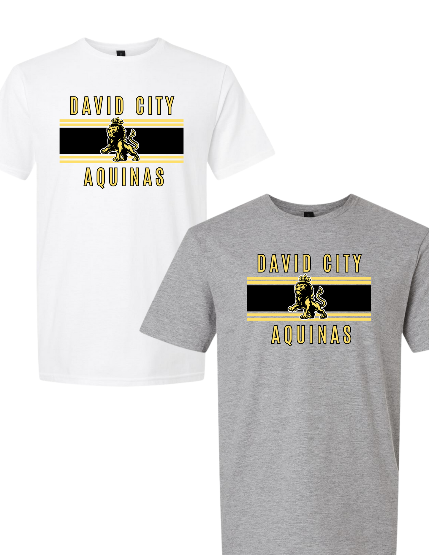 David City Aquinas Retro Rally Shirt