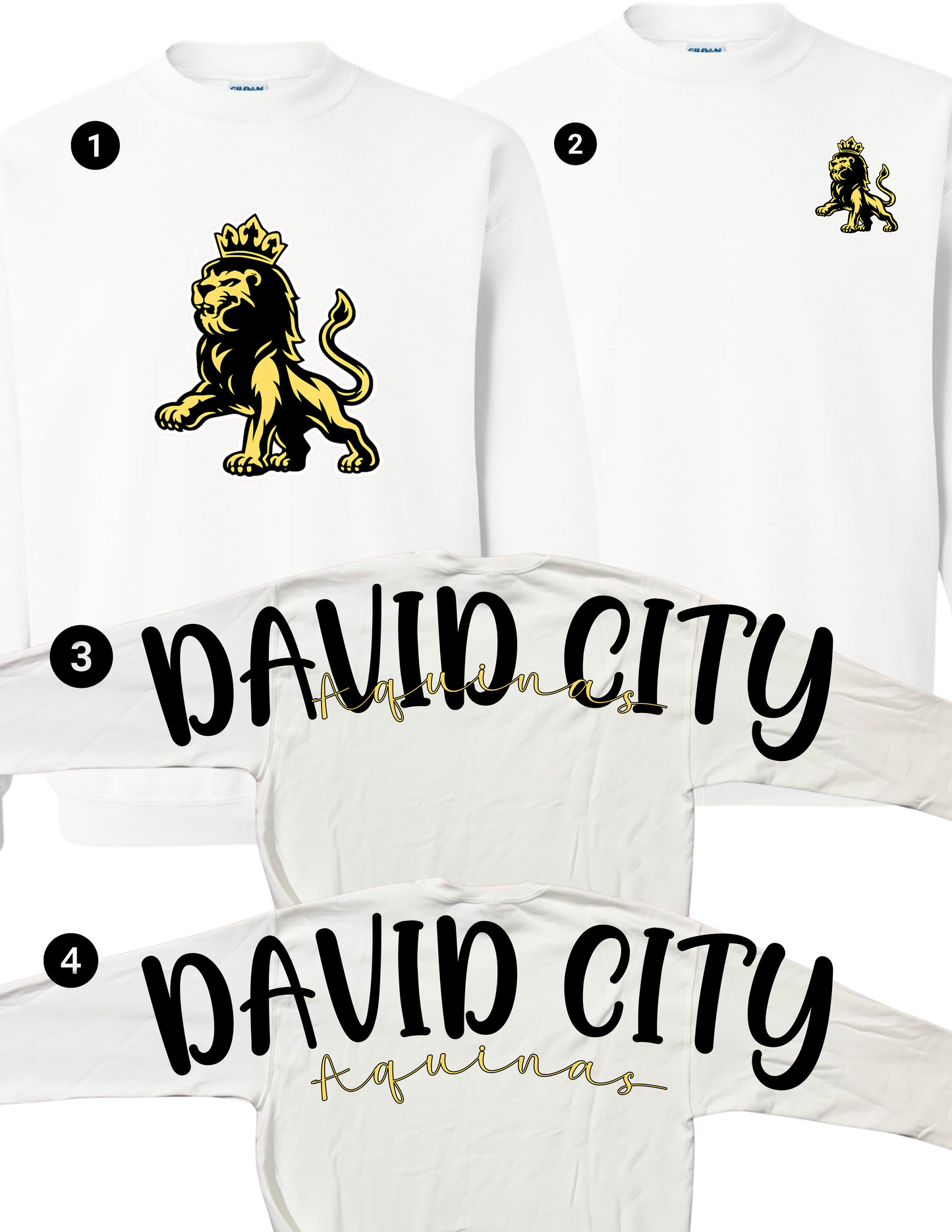 David City Aquinas Oversized Spirit Crewneck
