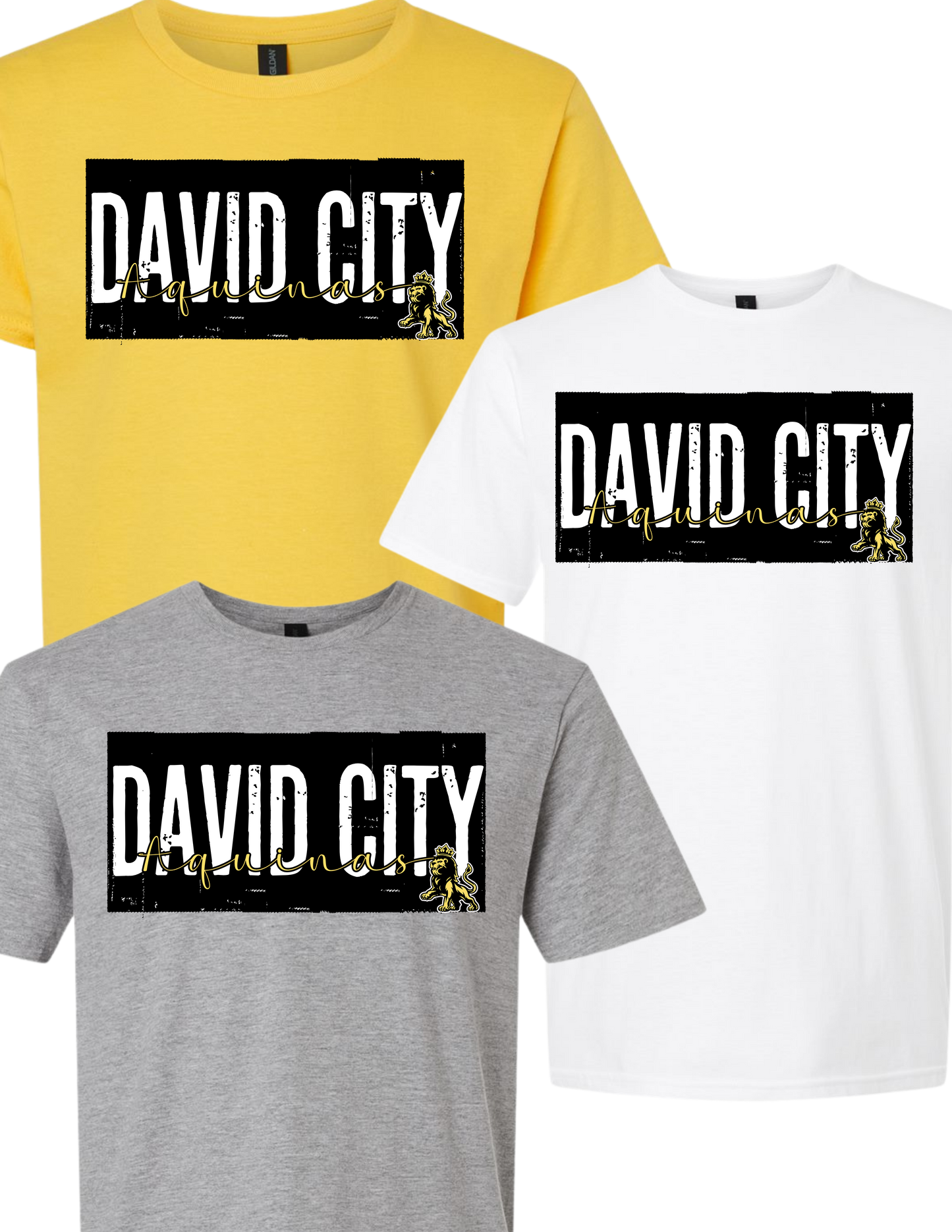 David City Aquinas Legacy
